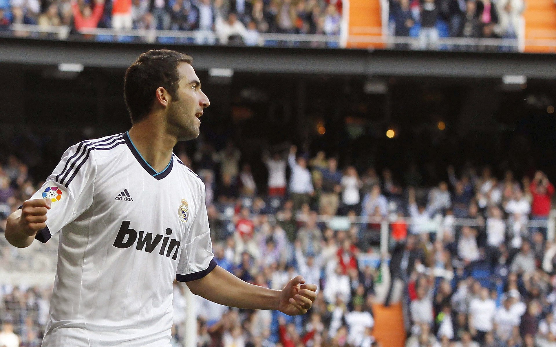 国内马拉松赛事报名爆满，跑者热情高涨，国内马拉松比赛报名